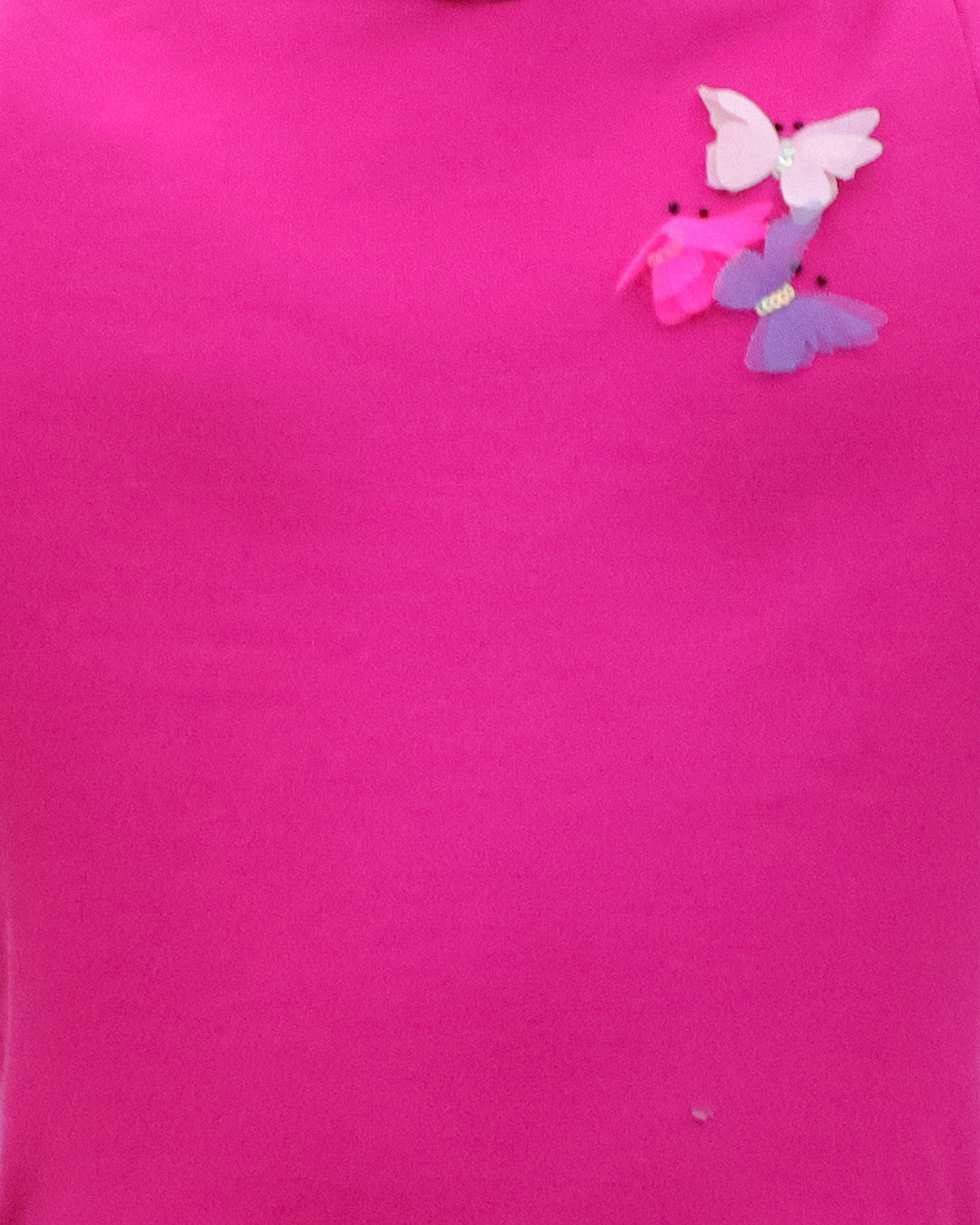 Hoodie Dress With Pleated Skirt  And Butterfly At Chest